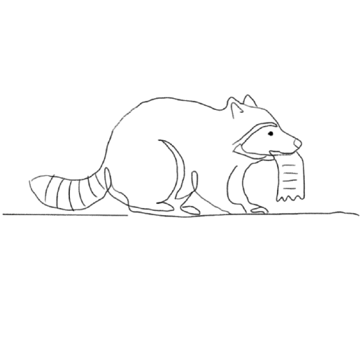 Raccoon Doodle